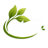Seed Wave India